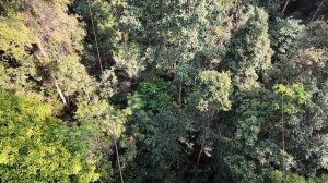 Большой поход в джунгли Лаоса на 2 дня. Ночуем на дереве. #лаос #джунгли #приключениявлаосе