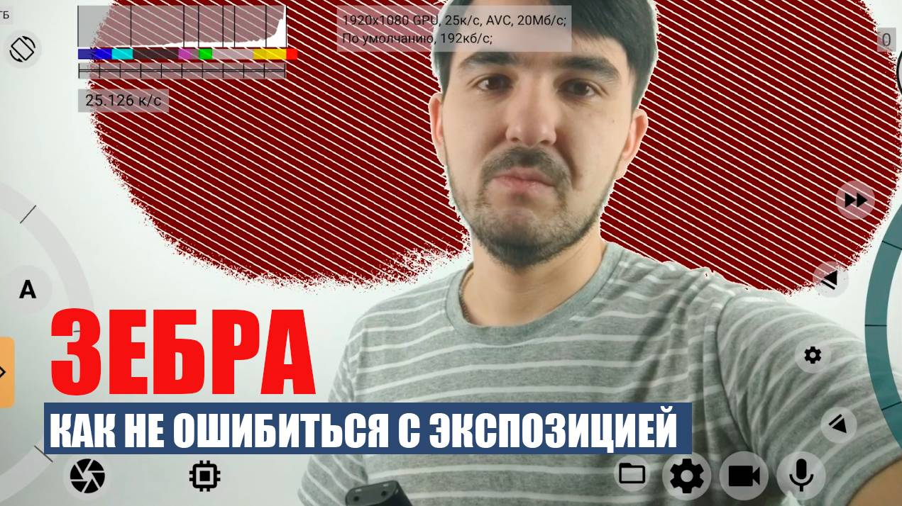 Зебра. Помощник при съемке смотреть онлайн