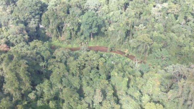The Lost City of the Monkey God: Paradise or Death Trap? смотреть онлайн