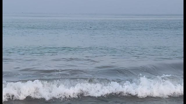 Наедине с Индийским океаном. Фуджейра. Из цикла «Восьмидневное турне по Эмиратам». смотреть онлайн