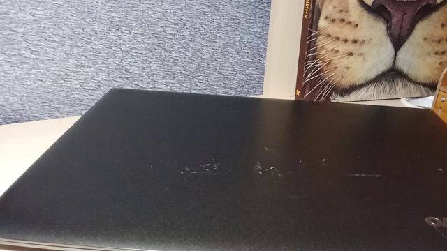 1000001505.mp4 смотреть онлайн