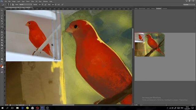 Speedpaint Calist Serinus canaria смотреть онлайн