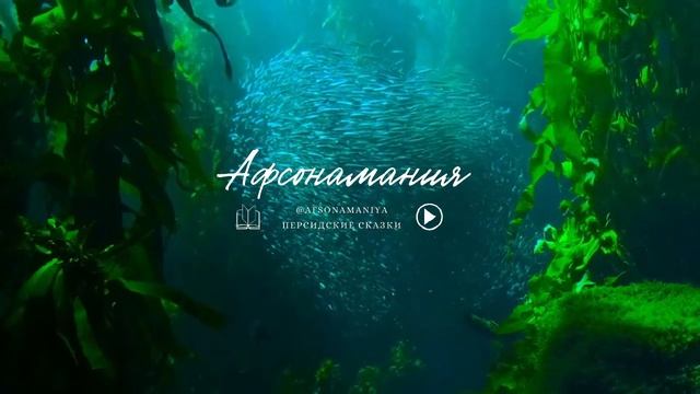 Халат, угощаемый пловом — Афсонамания смотреть онлайн