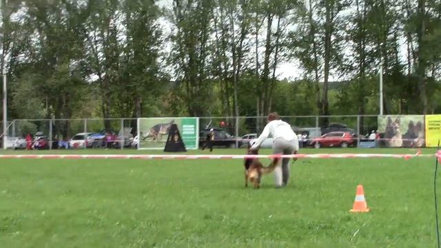 №349 - + + 5 отл Жальгирис фом Маир Хоф смотреть онлайн