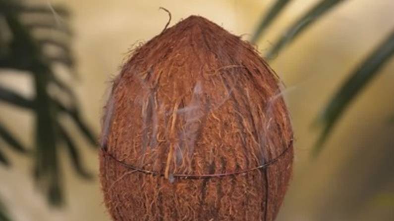 Как сделать DIY-гитару из кокосовой скорлупы смотреть онлайн