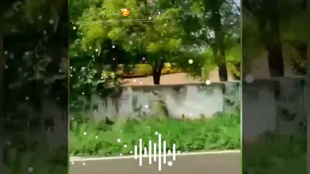 My School 🤩 смотреть онлайн