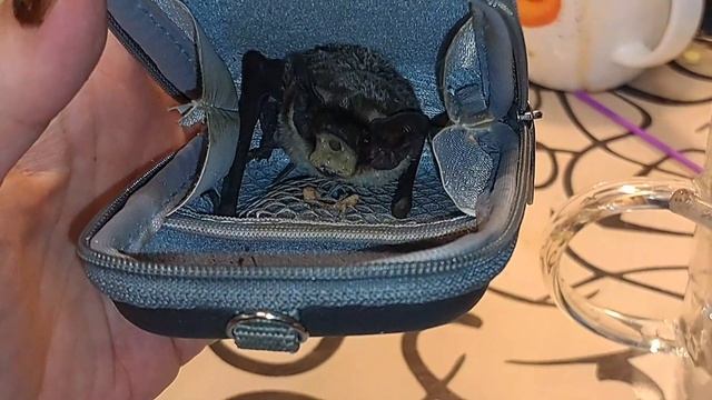 +1 Саларьево. Оказался пацан, моя ошибка смотреть онлайн