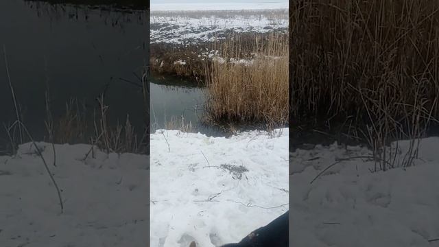 Как ловили маринку зимой на речке смотреть онлайн