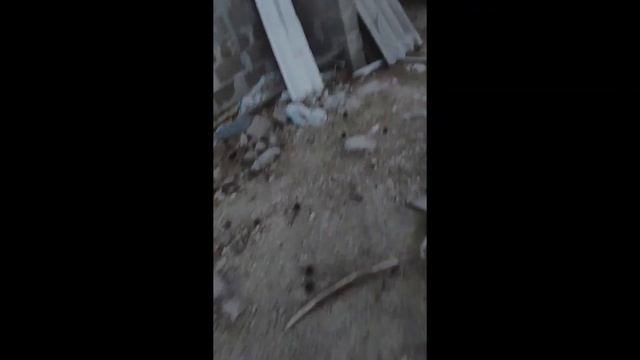 Весною в лесу очень хорошо смотреть онлайн