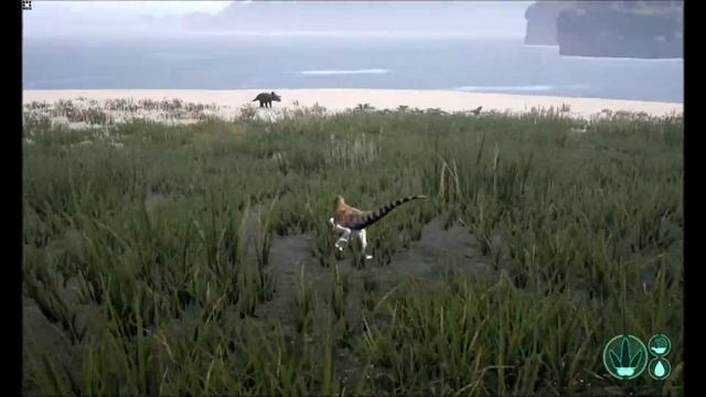 How to kill an Avaceratops AI as a freshly spawned Utah Raptor (The Isle) смотреть онлайн