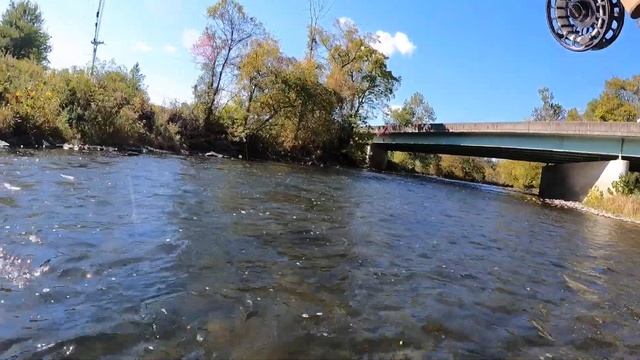 EURO NYMPHING a Riffle смотреть онлайн