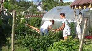 6 соток 23 июня 2020 года. Хроника.