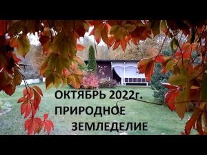 Октябрь 2022 - природное земледелие. Заключительная серия.