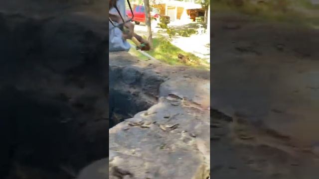 Henry cooking Wild hog on a open fire on homestead - Living SImple with Demp смотреть онлайн