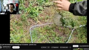 РЕАКЦИЯ НА ВЫЖИВАЛО #1