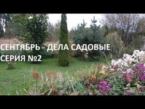 Сентябрь - дела садовые серия №2