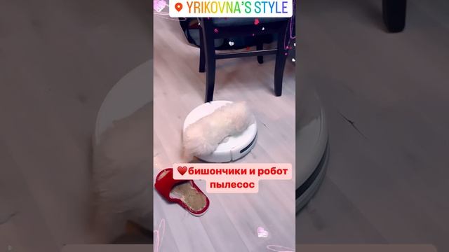 ❤️Щенки и робот пылесос смотреть онлайн