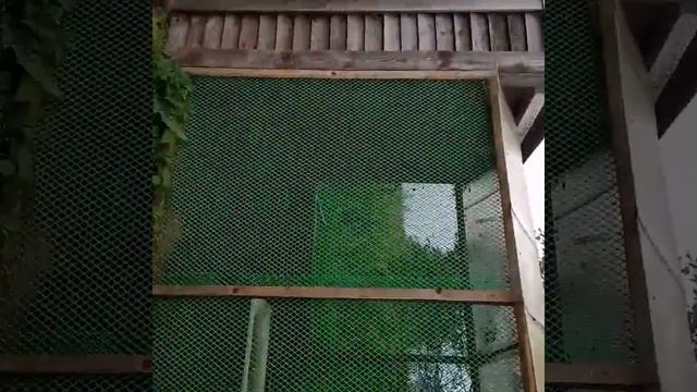 26 января 2020 г. смотреть онлайн