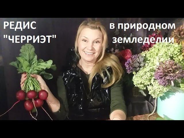 Редис от А до Я в природном земледелии смотреть онлайн