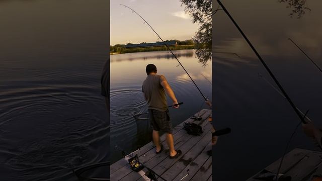 Совместный труд сближает смотреть онлайн