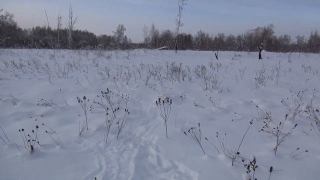 С оператором Еленой, преследуем лисицу по горячим следам 0 смотреть онлайн