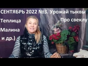 Сентябрь 2022 №3. Урожай тыквы по сортам. Осенние дела в природном земледелии.