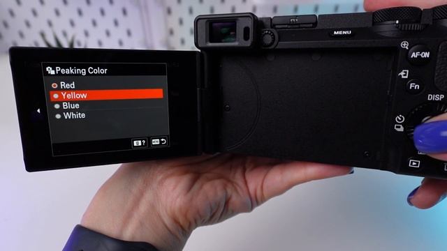 Sony A6700: Mastering Focus Peaking for Sharp Images смотреть онлайн