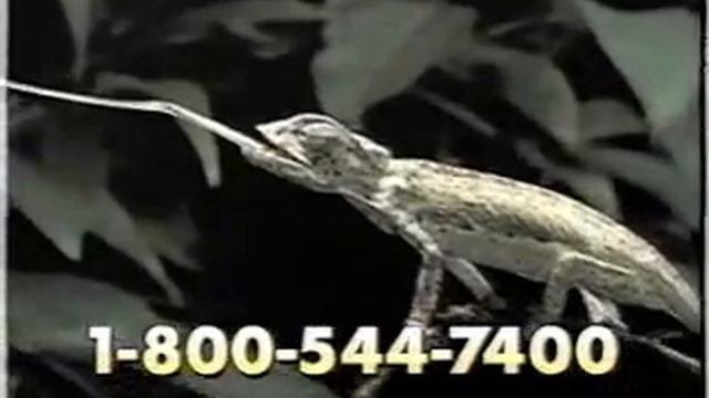 Cartoon Network USA - Continuity and Adverts - June 5th, 1999 (3) смотреть онлайн