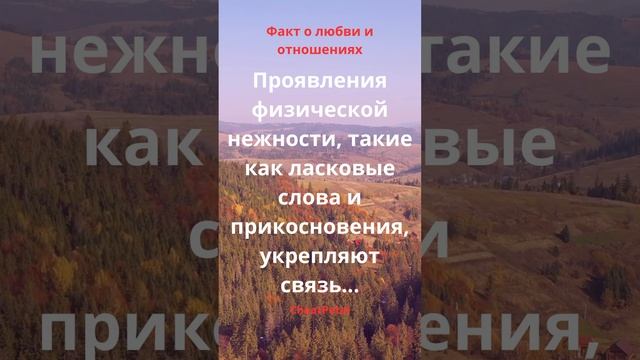Проявления физической нежности, такие как ласковые слова и прикосновения, укрепляют связь...#shorts смотреть онлайн