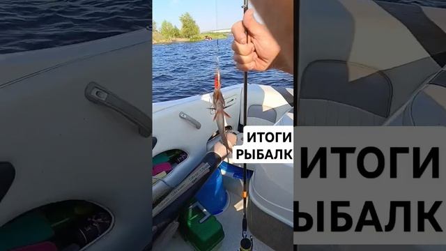 Еще щука сошла на 2 кг примерно #рек #fishing #рыбалка #carpfishing #имба #мем #обзор #рыба #fish смотреть онлайн