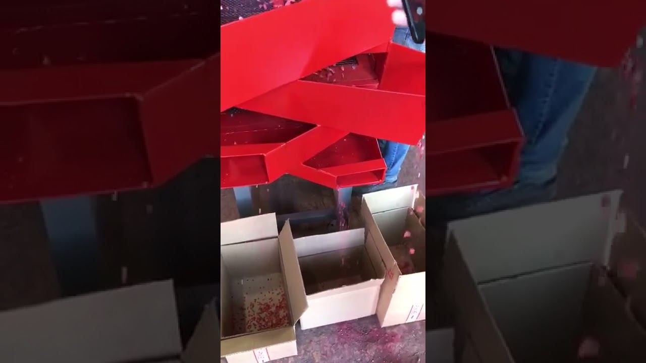 вибросито ВС 3, рассев клубники, сетка 5мм Vibromash.com, 8-800-500-40-02, 8-902-333-99-69 смотреть онлайн