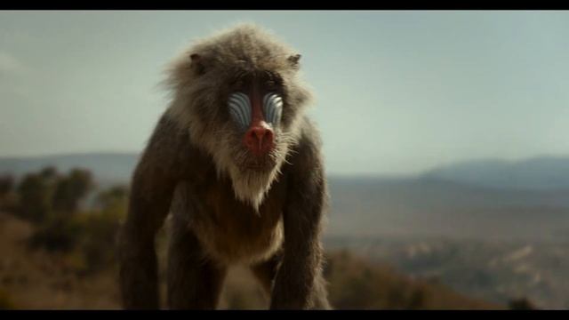 король лев 2019 смотреть онлайн