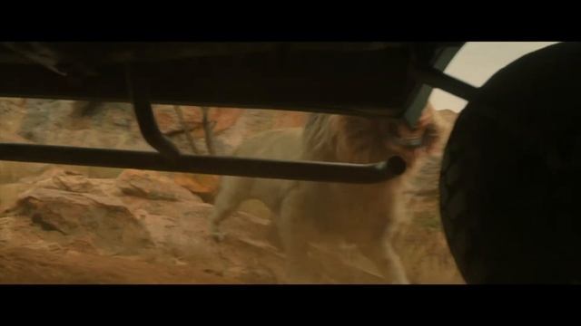 Beast: oners and lions are a pretty crazy mix смотреть онлайн