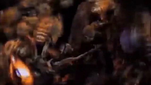 Arılar Başka Bir Canlıyı Soktuktan Sonra Neden Ölüyor ? смотреть онлайн