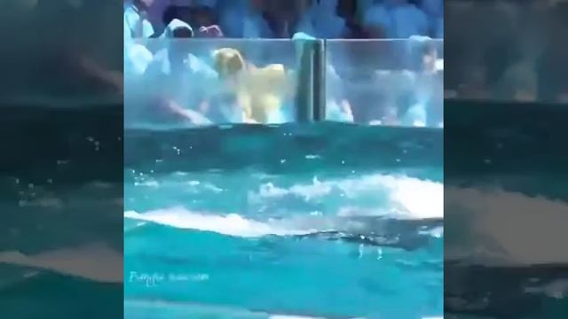 Музыка красиво смотреть онлайн