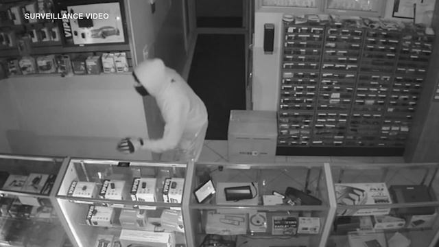 Bridgeview locksmith burgled for key fob programmer | VIDEO смотреть онлайн