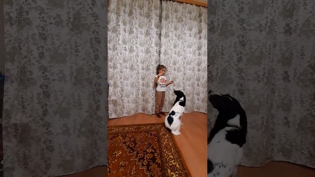 Бонита и команды:) смотреть онлайн
