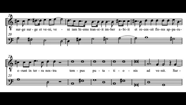 Nigra Sum (Vespro della Beata Vergine - C. Monteverdi) Score Animation смотреть онлайн
