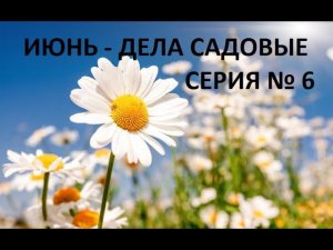 Июнь - дела садовые серия № 6