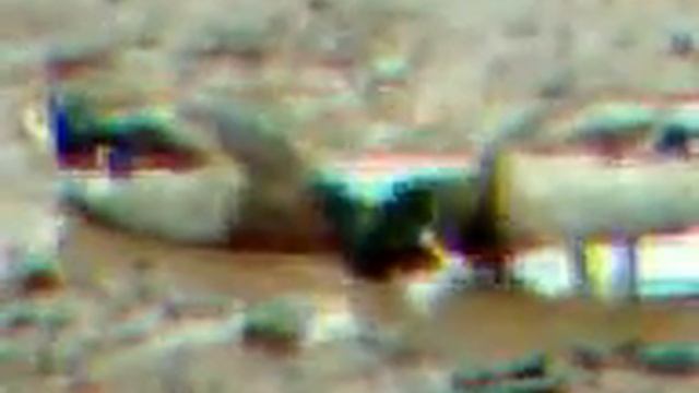 дикие утки в луже смотреть онлайн