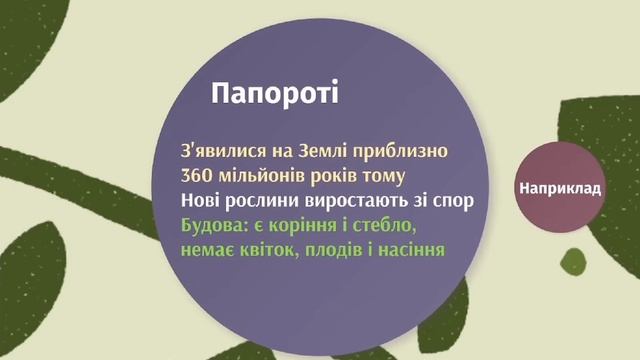 Які бувають рослини. ЯДС 3 клас смотреть онлайн