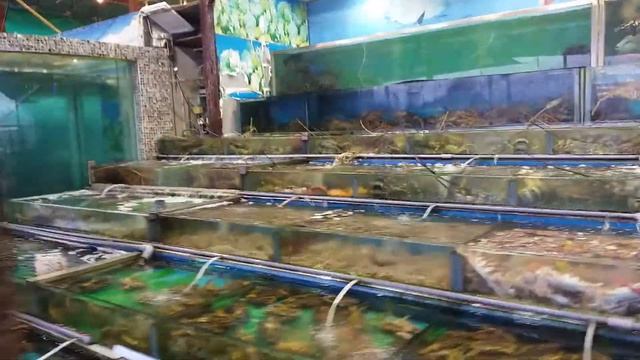 Biggest Sea food in Sai Kung, hong kong смотреть онлайн