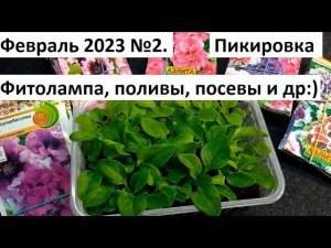Февраль 2023. серия №2. Все про счастливую рассаду.
