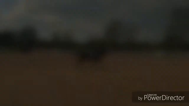 First Time At Arena UK - Unaffiliated Dressage 2017