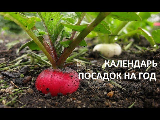 Календарь посадок на год. смотреть онлайн