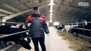 Технология откорма КРС. Часть 2