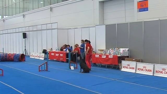 Кубок 15.11 Черных Ольга и Чезара смотреть онлайн