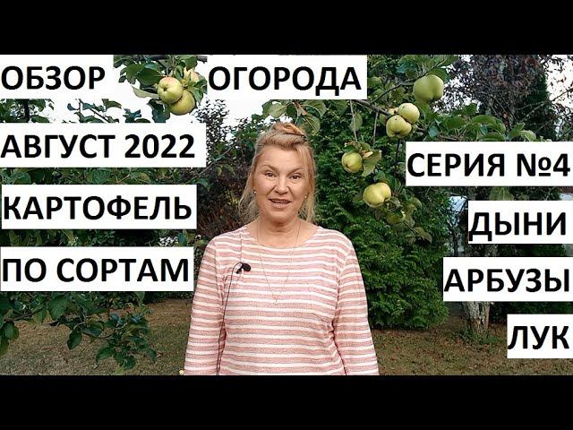 Август 2022 серия №4. Картофель по сортам - собираем урожай) Обзор огорода. смотреть онлайн