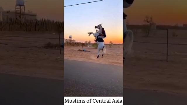 Muslims of Central Asia | #shorts смотреть онлайн