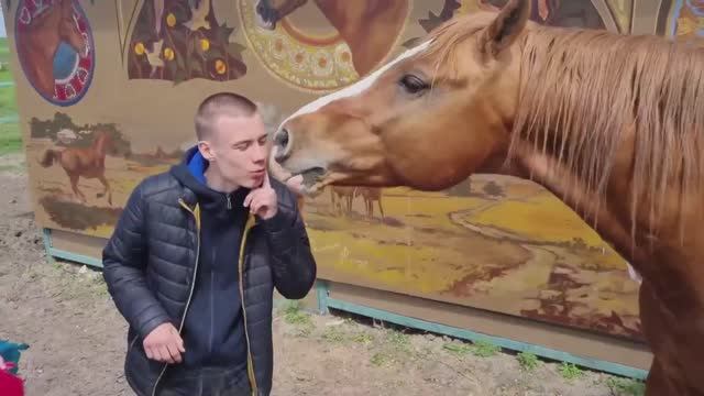 кони смотреть онлайн